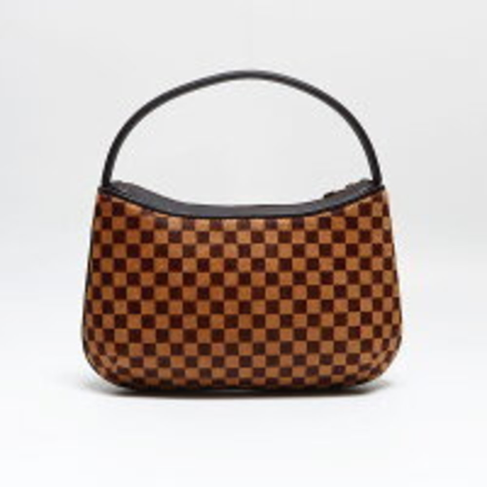 LOUIS VUITTON Damier Sauvage Tiger Handbag Brown - Picture 2 of 12